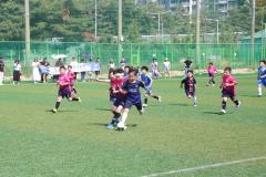 장안구청장배 유소년 축구대회4번 사진